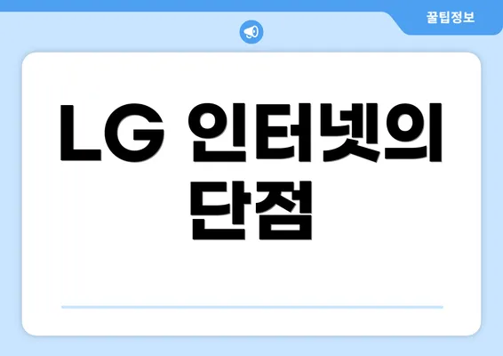 LG 인터넷의 단점