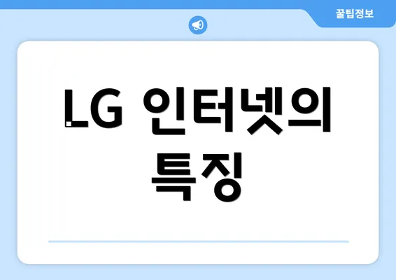 LG 인터넷의 특징