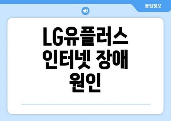 LG유플러스 인터넷 장애 원인