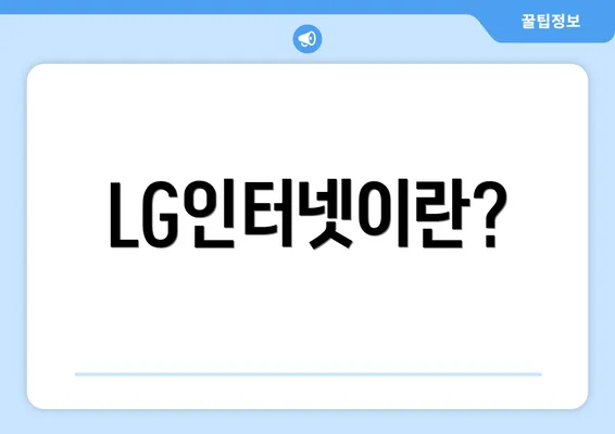 LG인터넷이란?