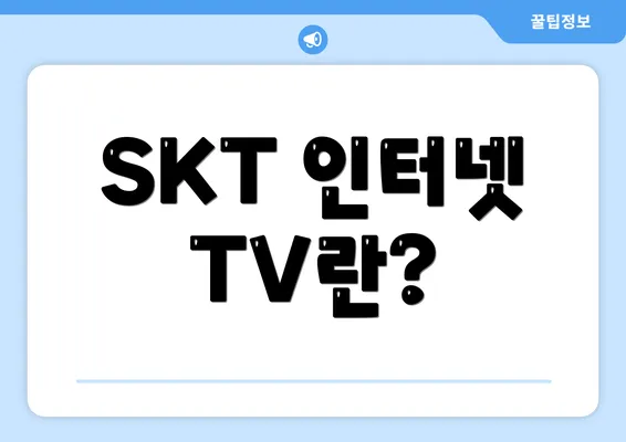 SKT 인터넷 TV란?