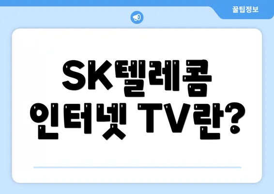 SK텔레콤 인터넷 TV란?