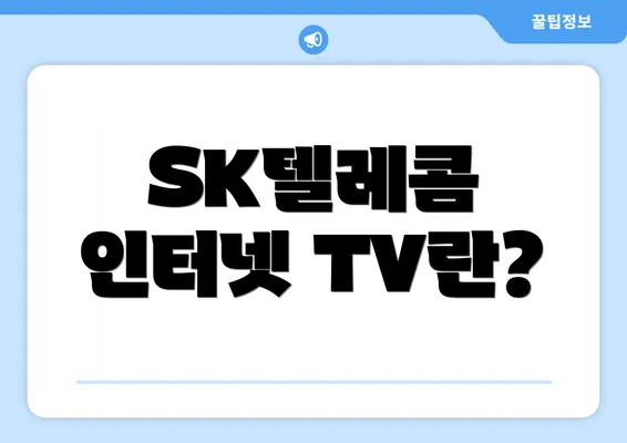 SK텔레콤 인터넷 TV란?