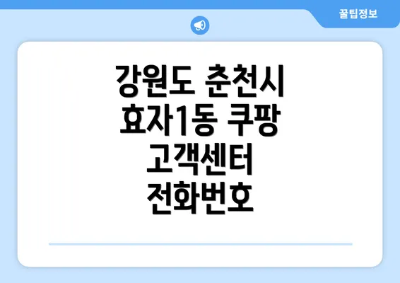 강원도 춘천시 효자1동 쿠팡 고객센터 전화번호