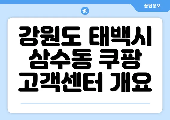 강원도 태백시 삼수동 쿠팡 고객센터 개요