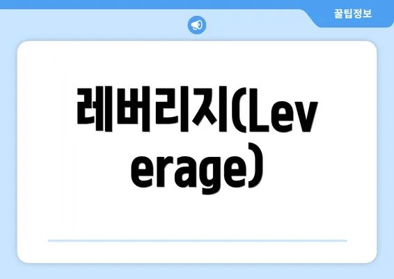 레버리지(Leverage)