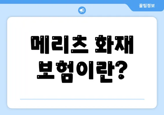 메리츠 화재 보험이란?