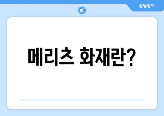 메리츠 화재란?