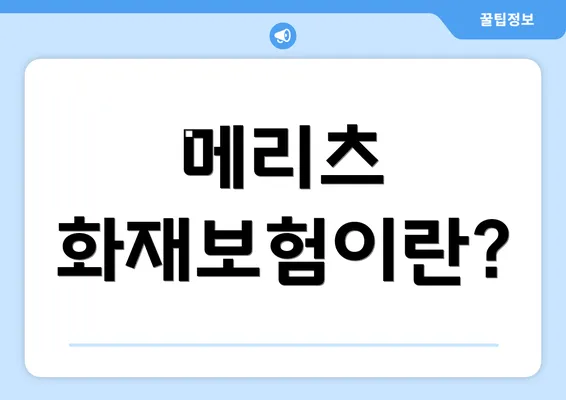 메리츠 화재보험이란?