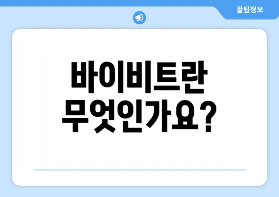 바이비트란 무엇인가요?