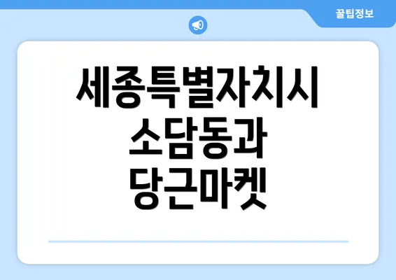 세종특별자치시 소담동과 당근마켓