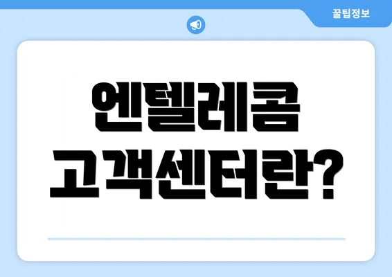 엔텔레콤 고객센터란?