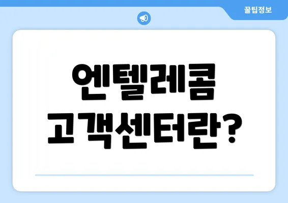 엔텔레콤 고객센터란?