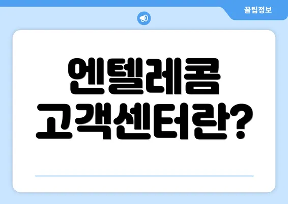 엔텔레콤 고객센터란?