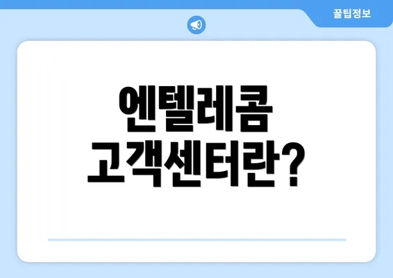 엔텔레콤 고객센터란?