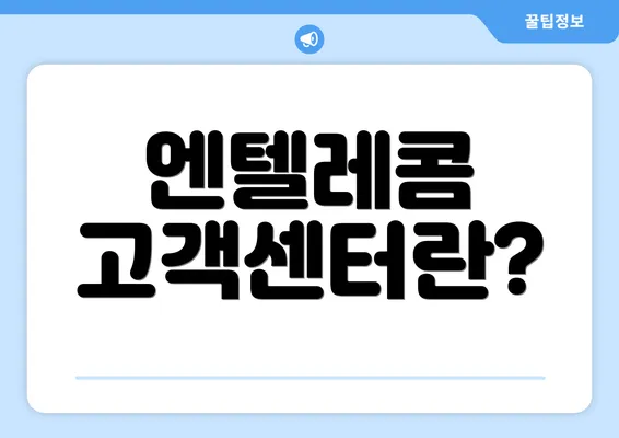 엔텔레콤 고객센터란?