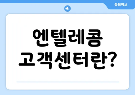 엔텔레콤 고객센터란?