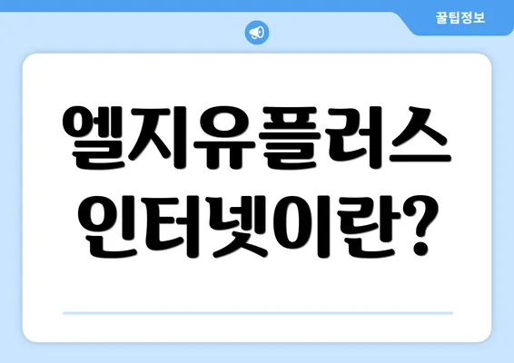 엘지유플러스 인터넷이란?