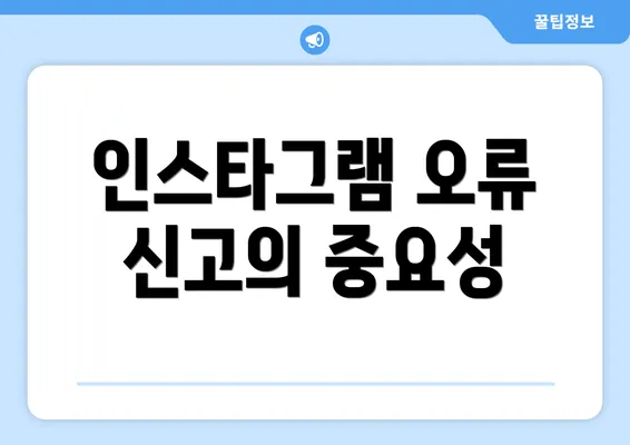 인스타그램 오류 신고의 중요성