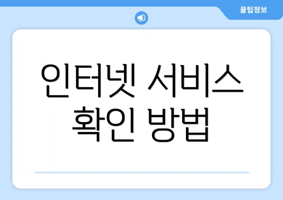 인터넷 서비스 확인 방법