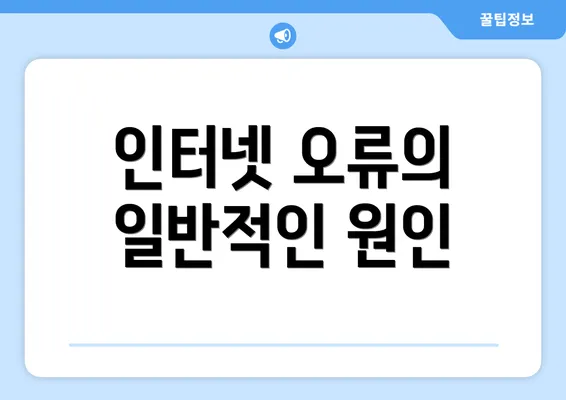 인터넷 오류의 일반적인 원인