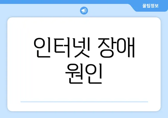 인터넷 장애 원인