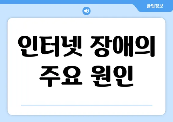 인터넷 장애의 주요 원인