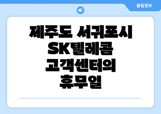 제주도 서귀포시 SK텔레콤 고객센터의 휴무일