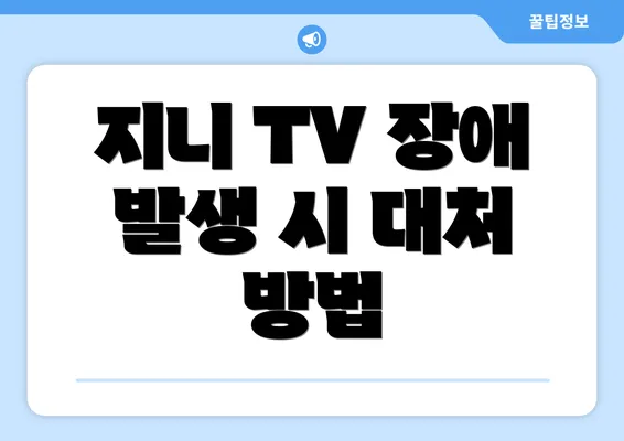 지니 TV 장애 발생 시 대처 방법