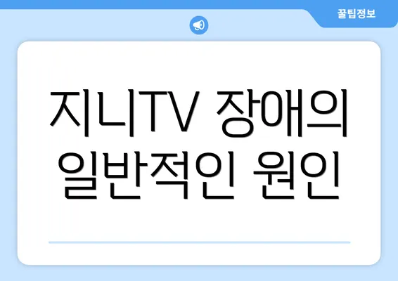 지니TV 장애의 일반적인 원인