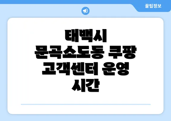 태백시 문곡소도동 쿠팡 고객센터 운영 시간