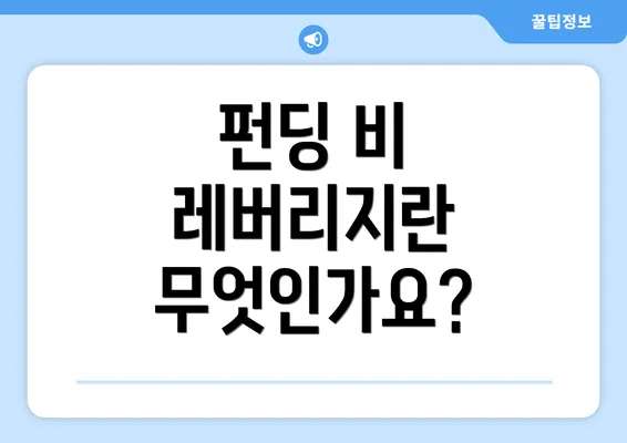 펀딩 비 레버리지란 무엇인가요?