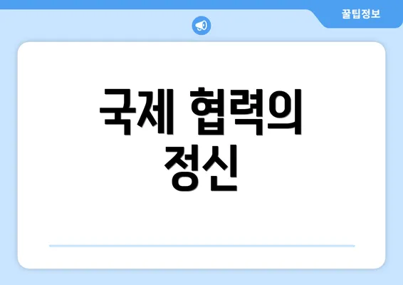 국제 협력의 정신