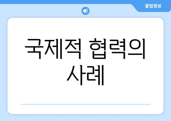 국제적 협력의 사례