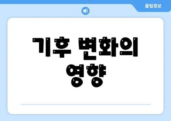 기후 변화의 영향