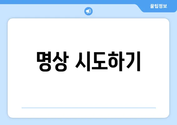 명상 시도하기