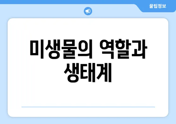 미생물의 역할과 생태계