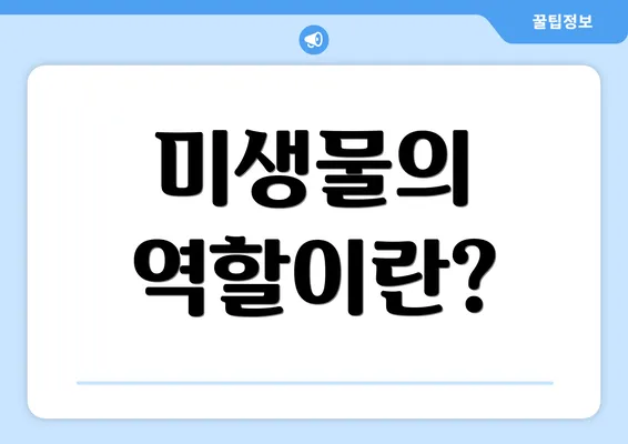 미생물의 역할이란?