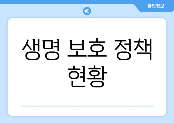 생명 보호 정책 현황
