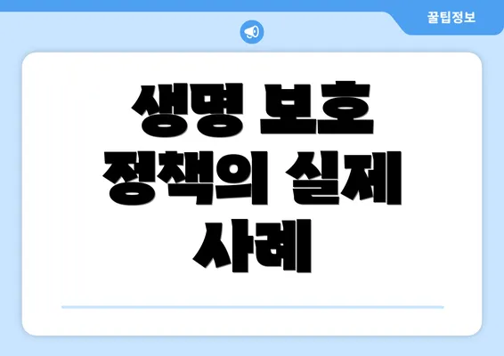 생명 보호 정책의 실제 사례