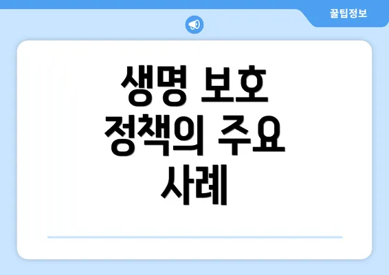 생명 보호 정책의 주요 사례