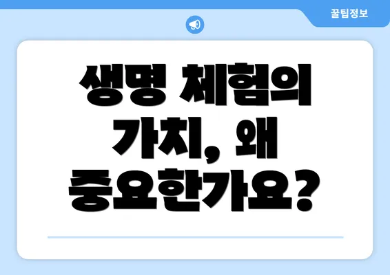 생명 체험의 가치, 왜 중요한가요?