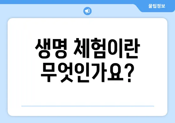 생명 체험이란 무엇인가요?
