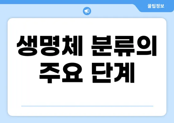 생명체 분류의 주요 단계