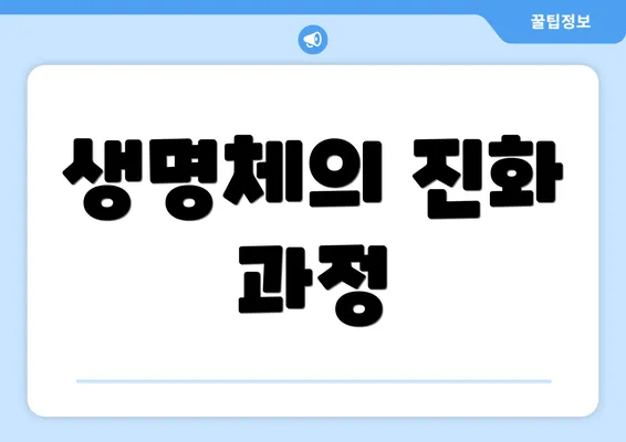 생명체의 진화 과정
