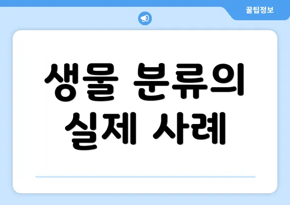 생물 분류의 실제 사례