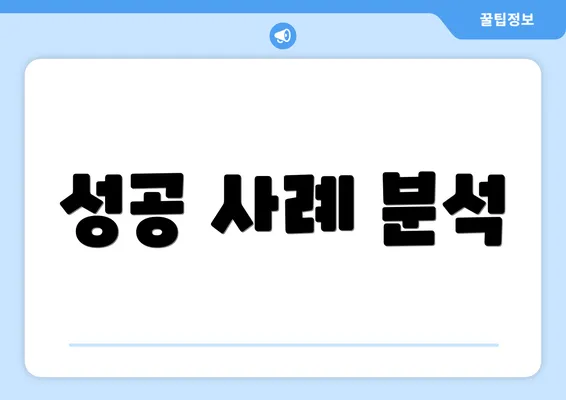 성공 사례 분석