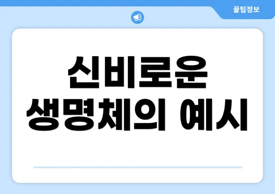신비로운 생명체의 예시