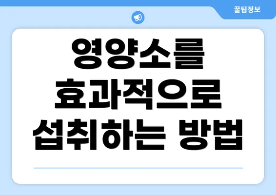 영양소를 효과적으로 섭취하는 방법