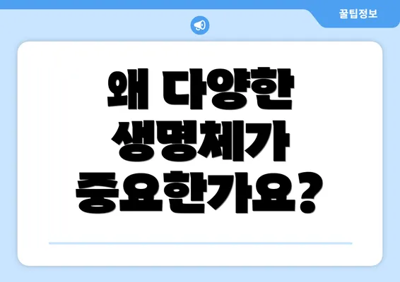 왜 다양한 생명체가 중요한가요?